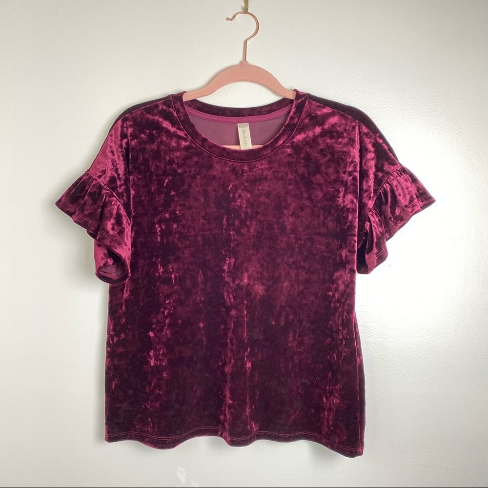 Velvet Top with Ruffle Sleeves
